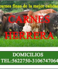 Carnes Herrera