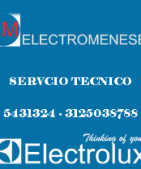 Electromeneses