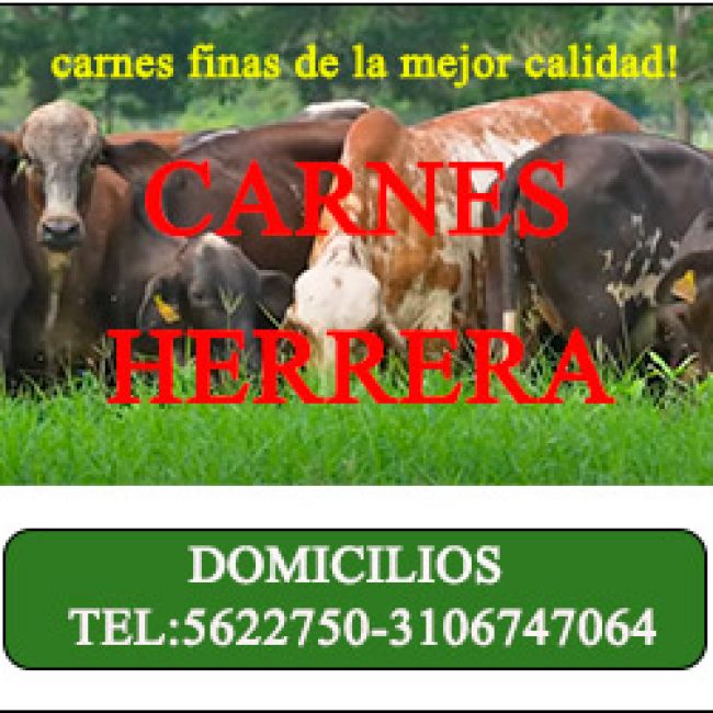 Carnes Herrera
